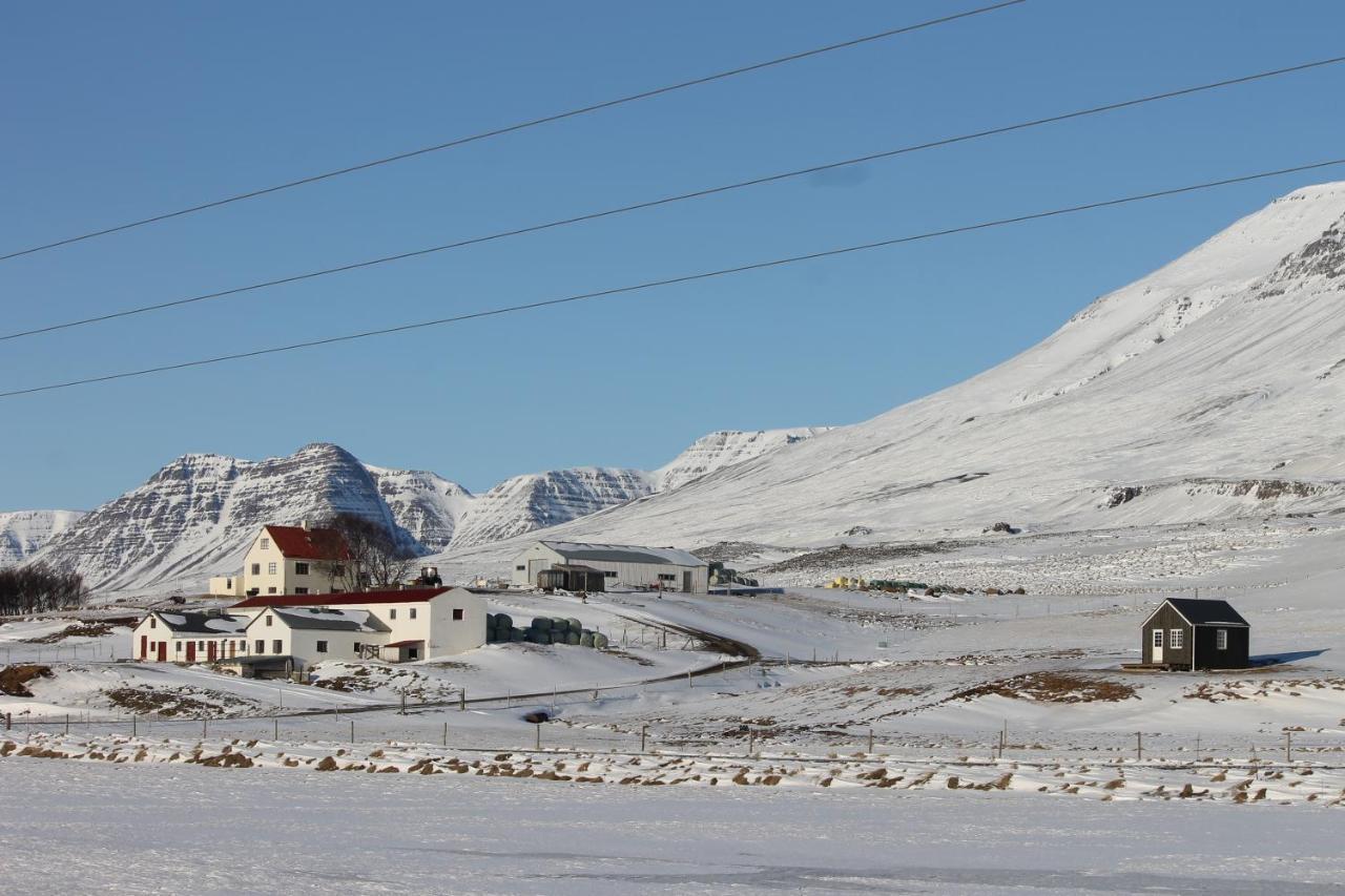 Solheimagerthi Guesthouse Varmahlíð Exteriör bild